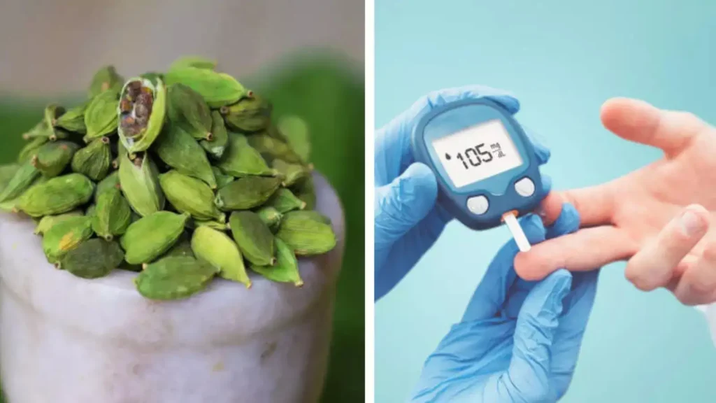 CARDAMOM