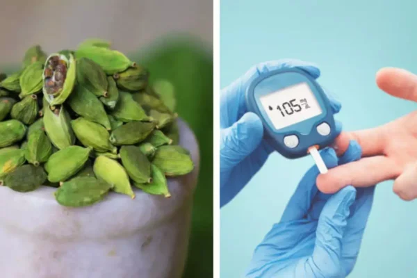 ಬಿಪಿ & ಶುಗರ್ಗೆ ಅತ್ಯುತ್ತಮ ಪರಿಹಾರ- CARDAMOM HEALTH BENEFITS CARDAMOM