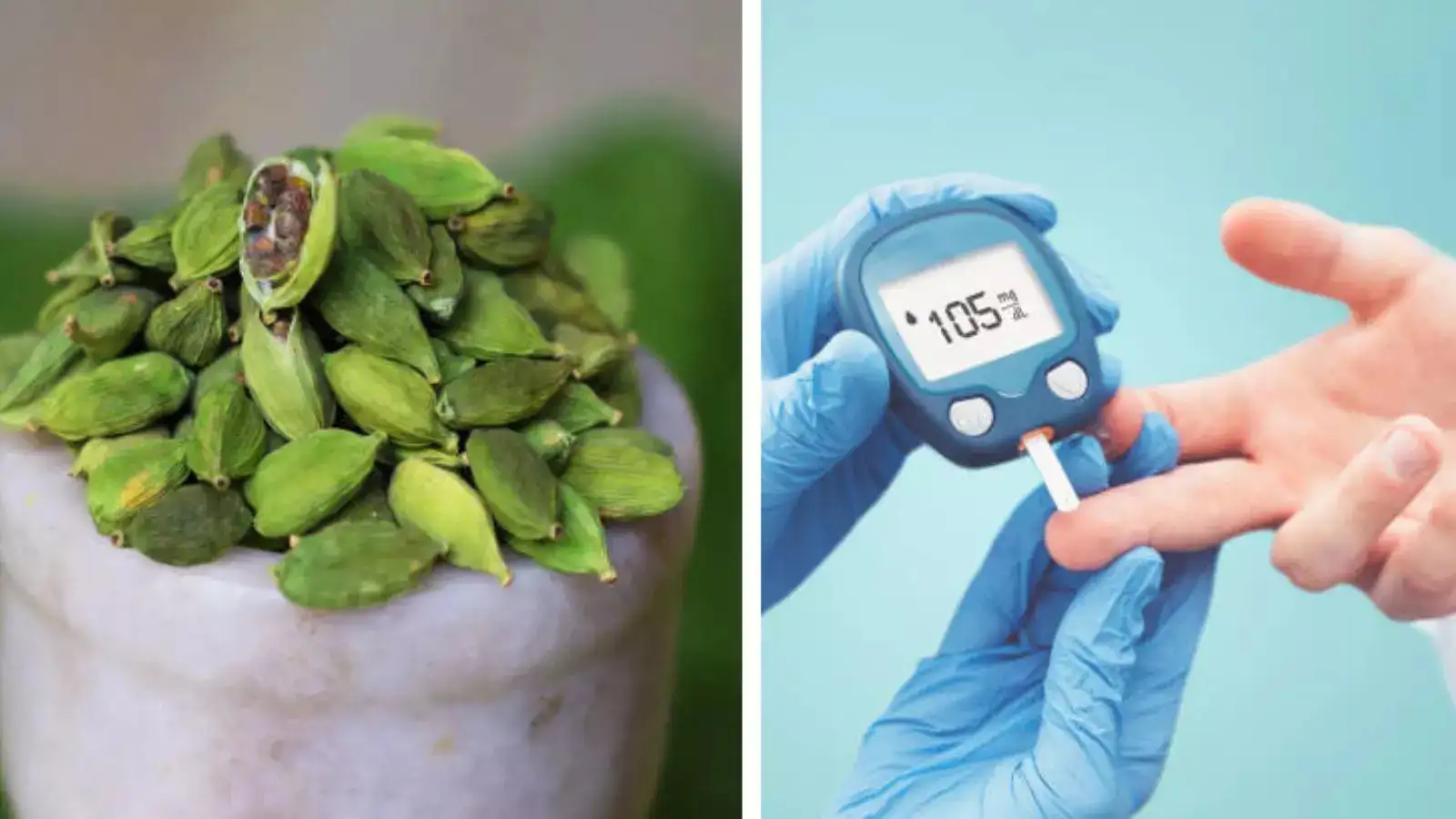 CARDAMOM