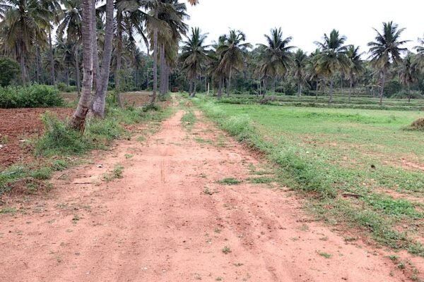 Agricultural Land Road | ನಿಮ್ಮ ಕೃಷಿ ಭೂಮಿಗೆ ರಸ್ತೆ ಇಲ್ವಾ..? ರಸ್ತೆ ಪಡೆಯೋದು ಹೇಗೆ..?