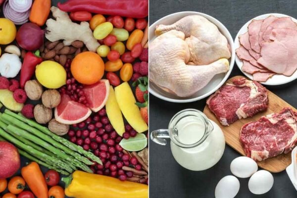 Vegetarian Vs NonVegetarian | ಮಾಂಸಹಾರ ಅಥವಾ ಸಸ್ಯಾಹಾರ ಯಾವುದು ಬೆಸ್ಟ್..?